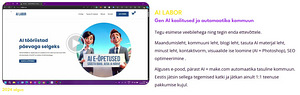VEEBILEHE LOOMINE MITME LEHEGA + SEO + JUHENDAMINE (6 foto / 6)