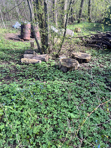 Annan tasuta küttepuid, ise järele tulla (2 foto / 5)