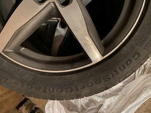 Veljed R18 koos suverehvidega (6 foto / 7)