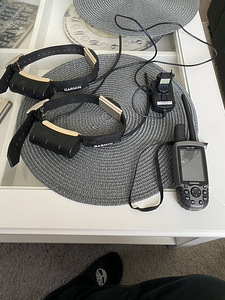 Garmin astra 220