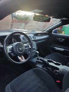 Ford Mustang Ecoboost (10 foto / 10)