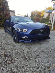 Ford Mustang Ecoboost (5 foto / 10)