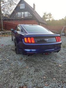 Ford Mustang Ecoboost (2 foto / 10)
