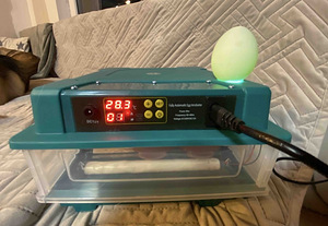 Automaatne inkubaator munadele (2 foto / 4)