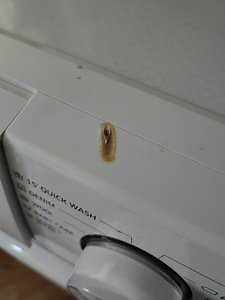Kasutatud pesumasin Samsung. (8 foto / 9)