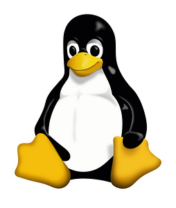 Linuxi serveri haldus (1 foto / 1)