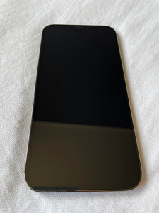 iPhone 12 Pro 256GB (2 foto / 8)