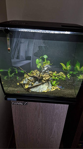 Akvaarium Fluval Flex 57L (1 foto / 2)