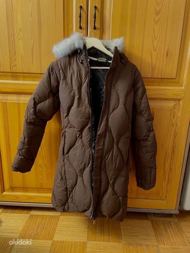 Продам зимнее пальто Solomon, размер S (фото #1)