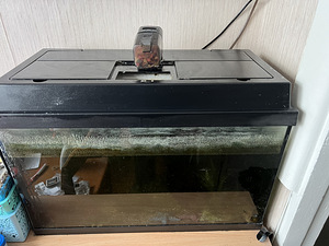 Kasutatud akvaarium (1 foto / 2)
