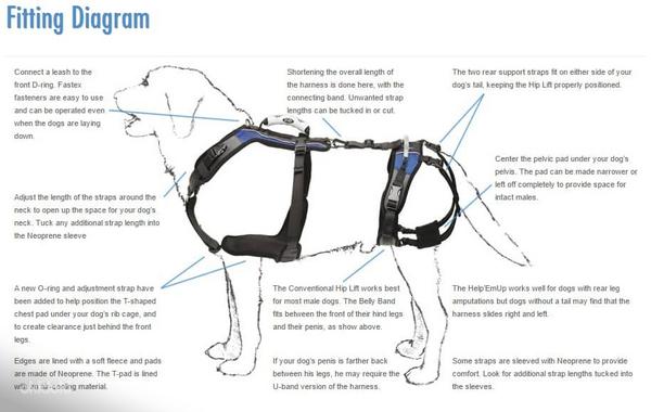 Продавать шлейки собаке, нуждающейся в помощи при передвижении (фото #2)