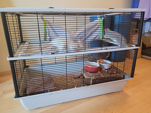 3 rotti + 2 puuri + 2 maja + 2 võrkkiike ja palju muud (8 foto / 8)