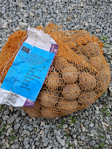 Seemnekartul SOLIST 4kg (1 foto / 1)