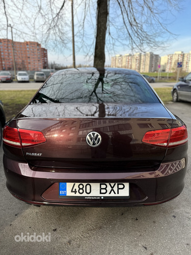 Volkswagen Passat (фото #4)