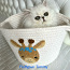 Персидский котенок (фото #2)