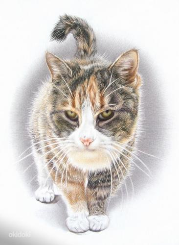 Рисую портреты домашних животных (фото #1)