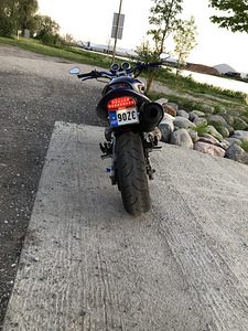 Honda Hornet (6 foto / 8)