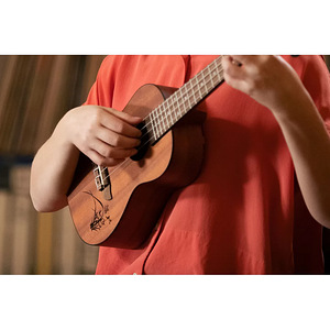 Ortega ukulele RU5MM (4 foto / 5)