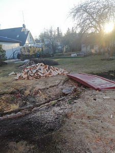 Erineva keerukusega puude saagimine ja eemaldamine (5 foto / 6)