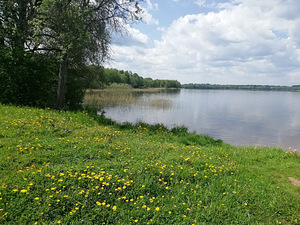 Koidula, Setomaa vald, Võrumaa (12 foto / 12)