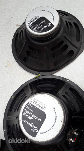 12g70j8 gitarnji. 70w 8 om 12"