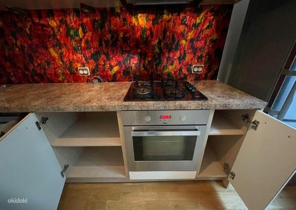 Kvaliteetne köögimööbel koos tehnikaga 250 cm. (foto #2)
