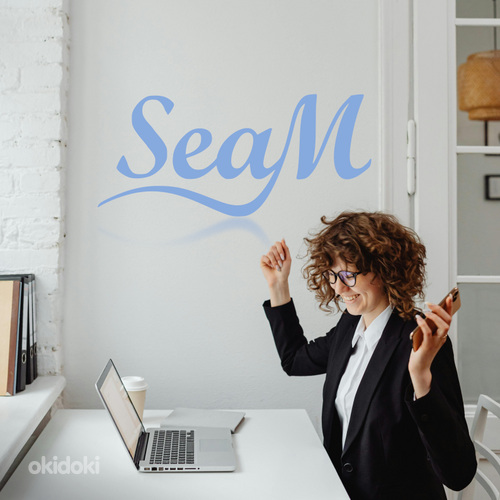 SeaM - Ваш персональный бухгалтер (фото #1)