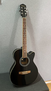 Kitarr Williams W-3000 (2 foto / 7)
