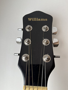 Kitarr Williams W-3000 (7 foto / 7)