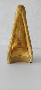 Alligaatori pea. Голова аллигатора. Alligator head. (5 фото из 8)