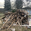 Свободная горючая древесина (фото #1)