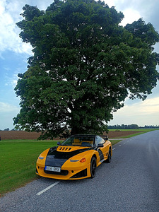 Dodge Stealth/3000gt, 3.0L V6 (6 фото из 9)