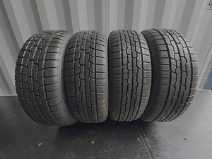Firestone WinterHawk 2 (1 фото из 6)