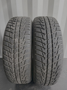 Nokian WR SUV3 215/65 R17 (1 foto / 9)