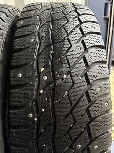 Sailun IceBlazer + Bosco Nordico 225/65 R17 (2 foto / 9)
