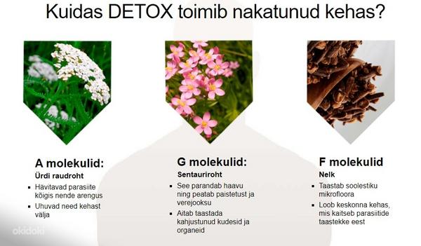 ДЕТОКСИК - надежный препарат для лечения паразитов! (фото #5)