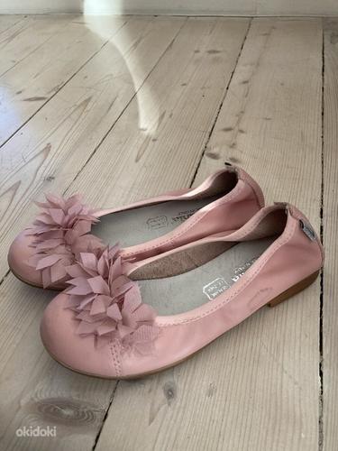 Melania kingad (foto #2)
