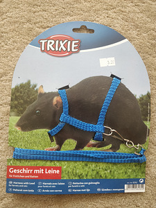 Kaup närilistele, hamstritele, hiirtele, merisigadele (8 foto / 9)