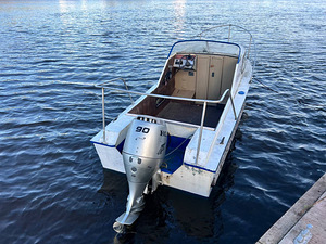 Amur 2 + honda 90 four stroke 2007 (3 foto / 10)