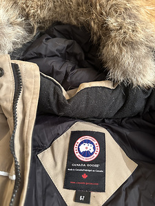 Canada goose (3 foto / 4)