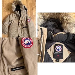 Canada goose (4 foto / 4)