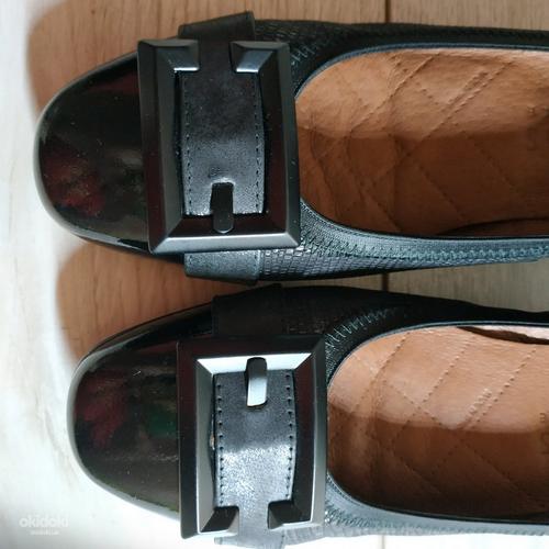 Кожаные качественные крутые туфли HISPANITAS 37 р кожа везде (фото #4)