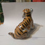 Kujuke DFZ Tiger cub (foto #3)