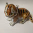 Kujuke DFZ Tiger cub (foto #4)