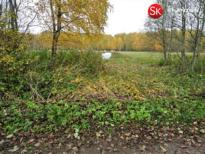 Uue-Vabriku, Kiideva, Haapsalu linn, Läänemaa (4 foto / 10)