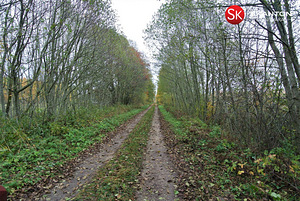 Uue-Vabriku, Kiideva, Haapsalu linn, Läänemaa (5 foto / 10)