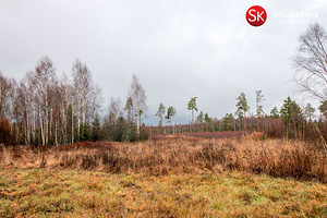 Väike-Luha, Suursoo, Rae vald, Harjumaa (1 foto / 10)