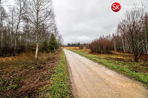 Väike-Luha, Suursoo, Rae vald, Harjumaa (9 foto / 10)