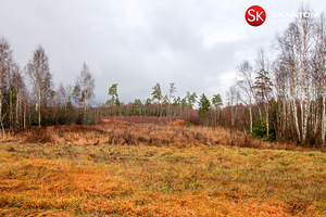 Väike-Luha, Suursoo, Rae vald, Harjumaa (1 foto / 10)