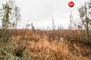Väike-Luha, Suursoo, Rae vald, Harjumaa (5 foto / 10)